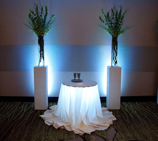 whiteuplighting party rentals near me